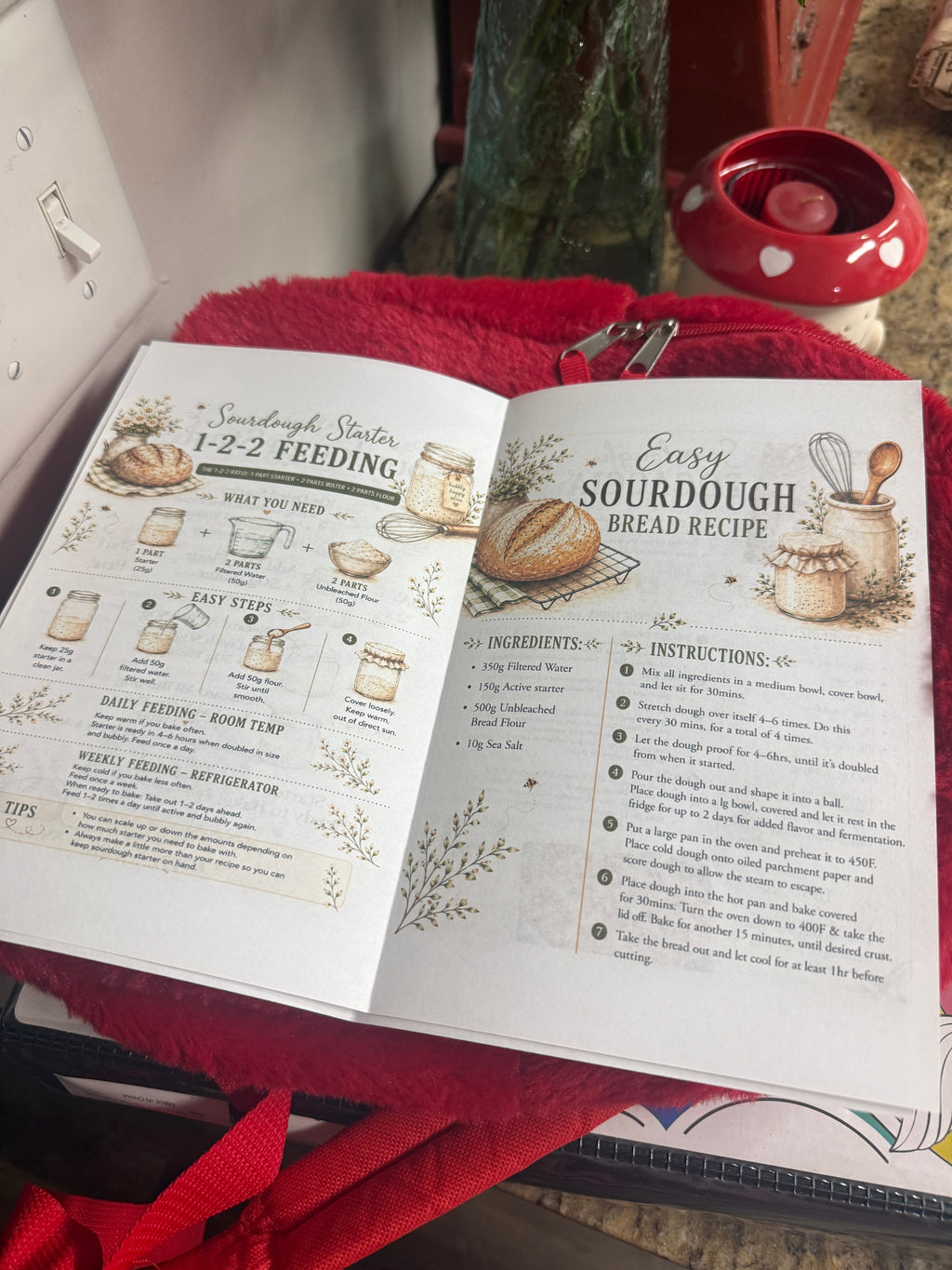 Bake Perfect Sourdough at Home Starter Kit