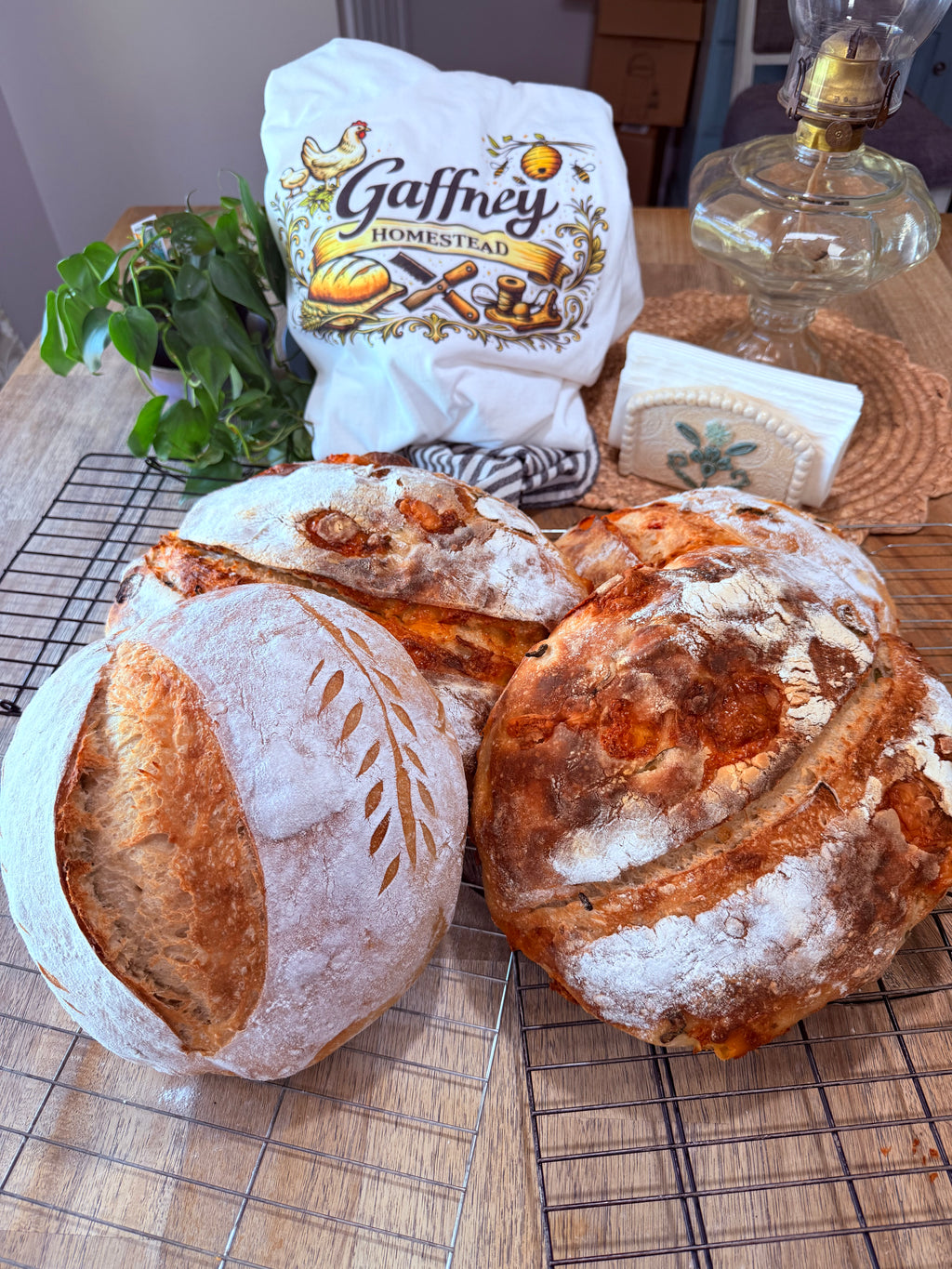 Bake Perfect Sourdough at Home Starter Kit