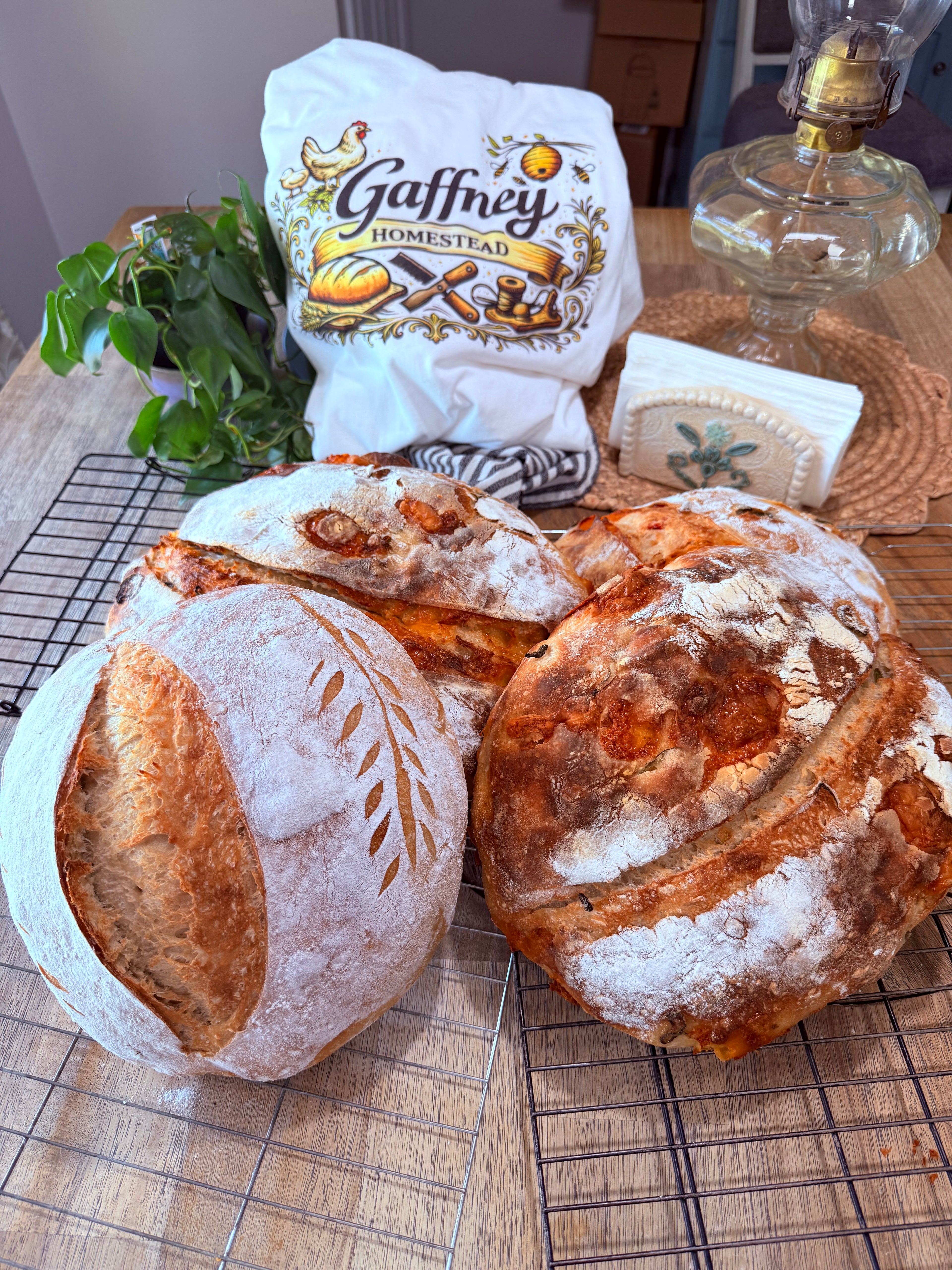 Bake Perfect Sourdough at Home Starter Kit