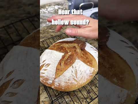 Sourdough Starter Bundle