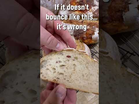 Sourdough Starter Bundle